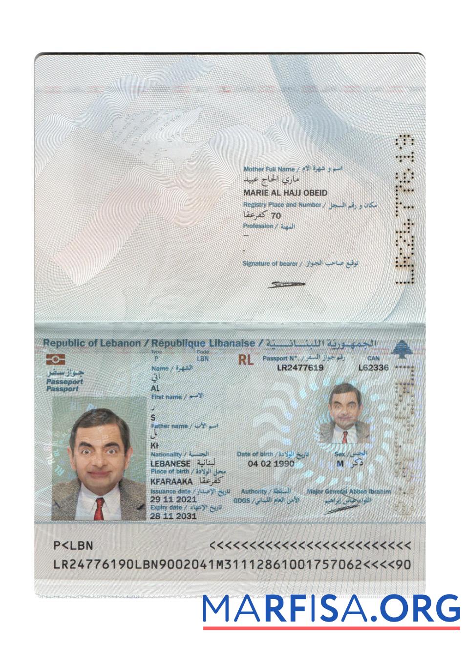 Printable Lebanon passport 2021 present example